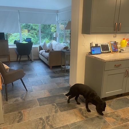 Morgraig Apartment Cardiff Bagian luar foto